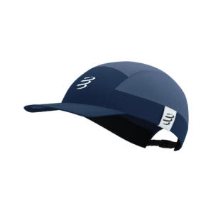 panel cap indigo